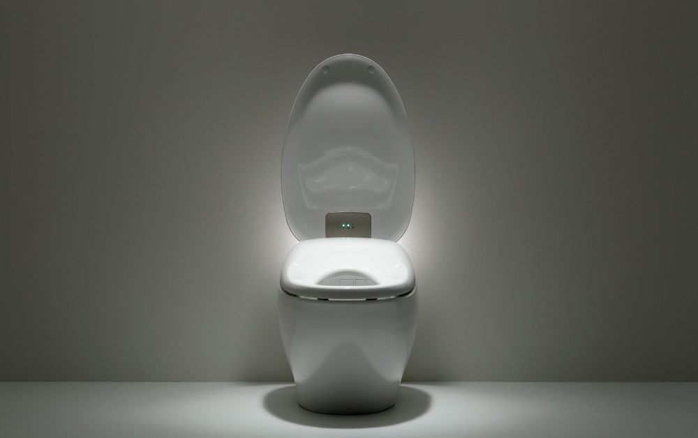 Chủ đề của người Toilet Thế giới của những năm gần đây