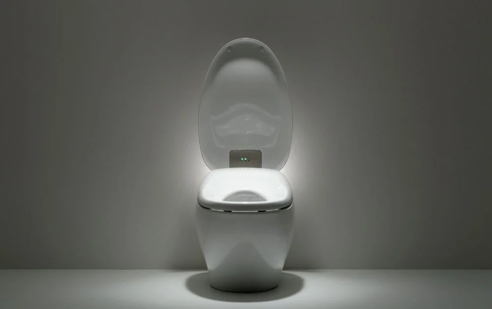 Chủ đề của người Toilet Thế giới của những năm gần đây